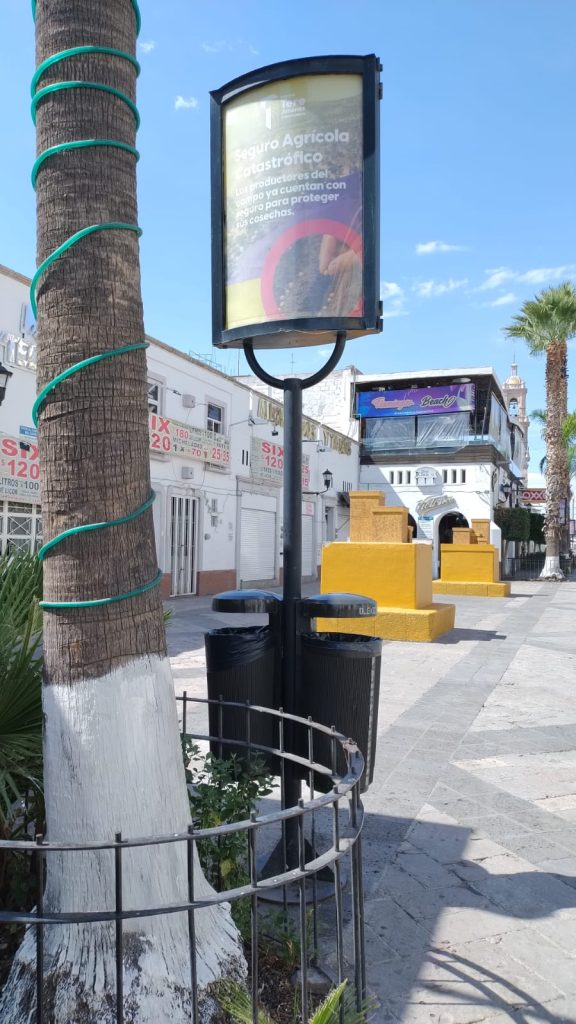 WhatsApp Image 2024-02-06 at 20.50.30 (4)